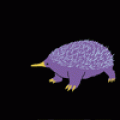 minitap_plux200812_poster.gif