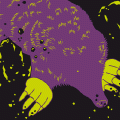 plux0408_front.gif
